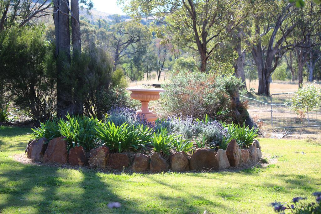 Rosebank Homestead And Farmstay Dalby Exterior photo