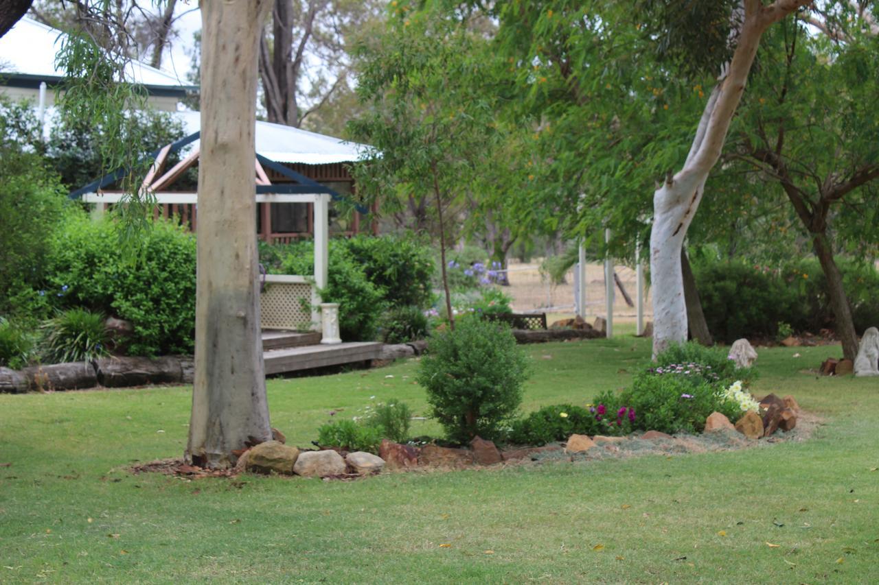 Rosebank Homestead And Farmstay Dalby Exterior photo